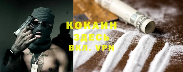 соль ск Вяземский