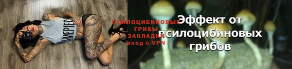 не бодяженный Вязьма