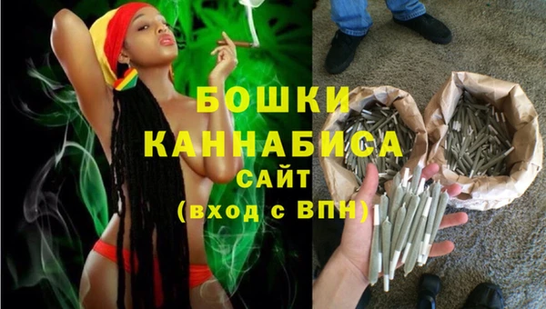 соль ск Вяземский