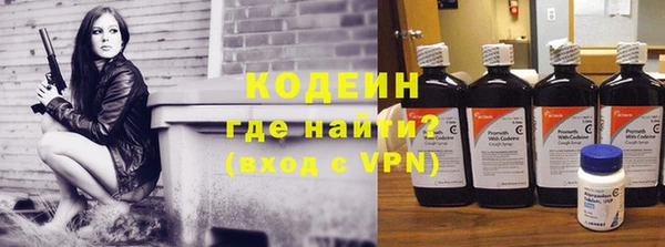 соль ск Вяземский