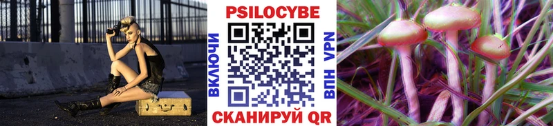 Купить закладки  Рошаль  Галлюциногенные грибы мухоморы 